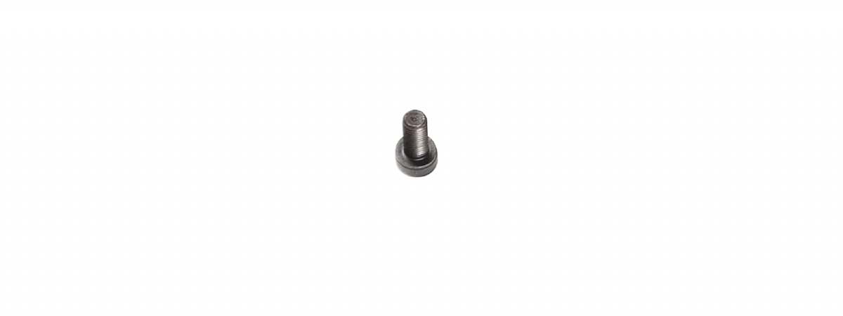 Pistol Grip Screw