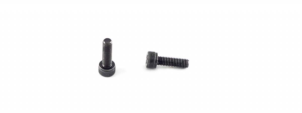 Handguard Screws X 2